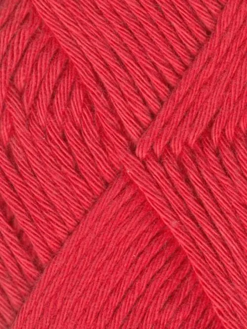 Coastal Cotton Fine Yarn by Queensland