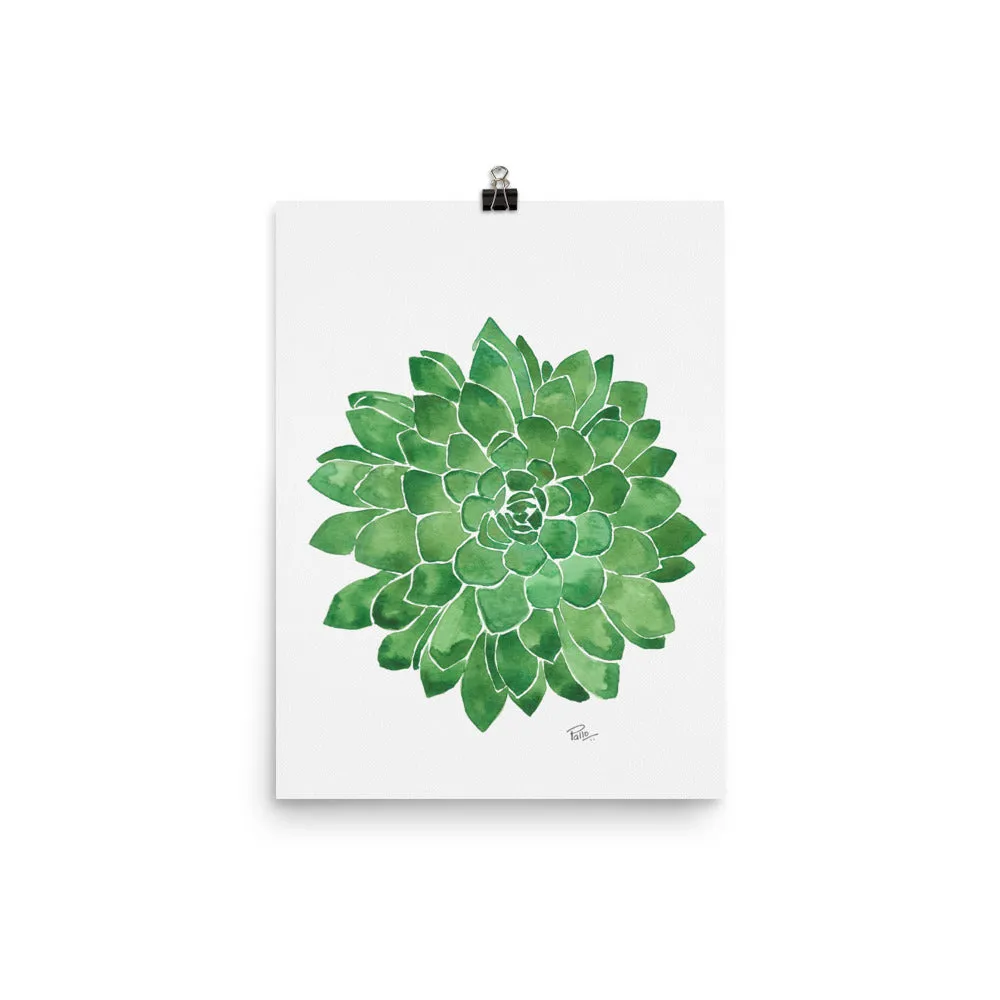 Succulent - Art Print