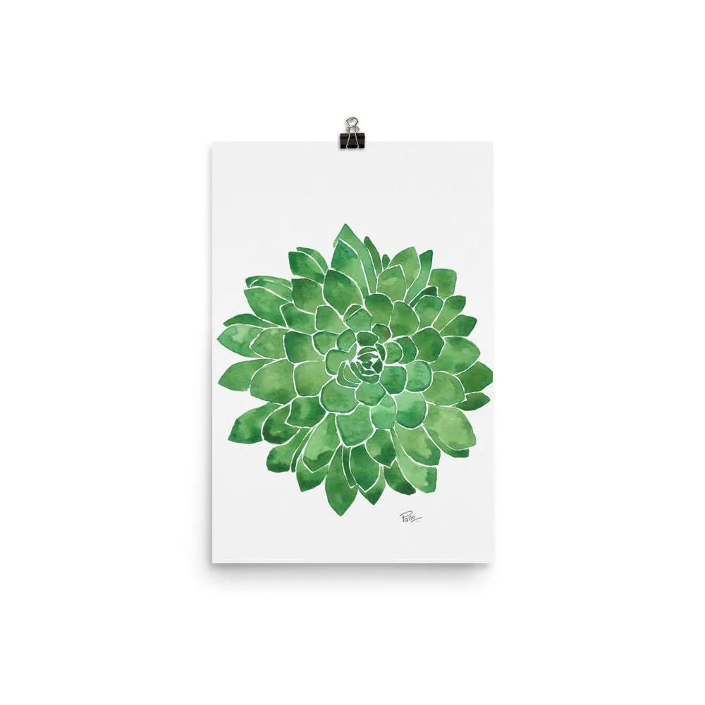 Succulent - Art Print