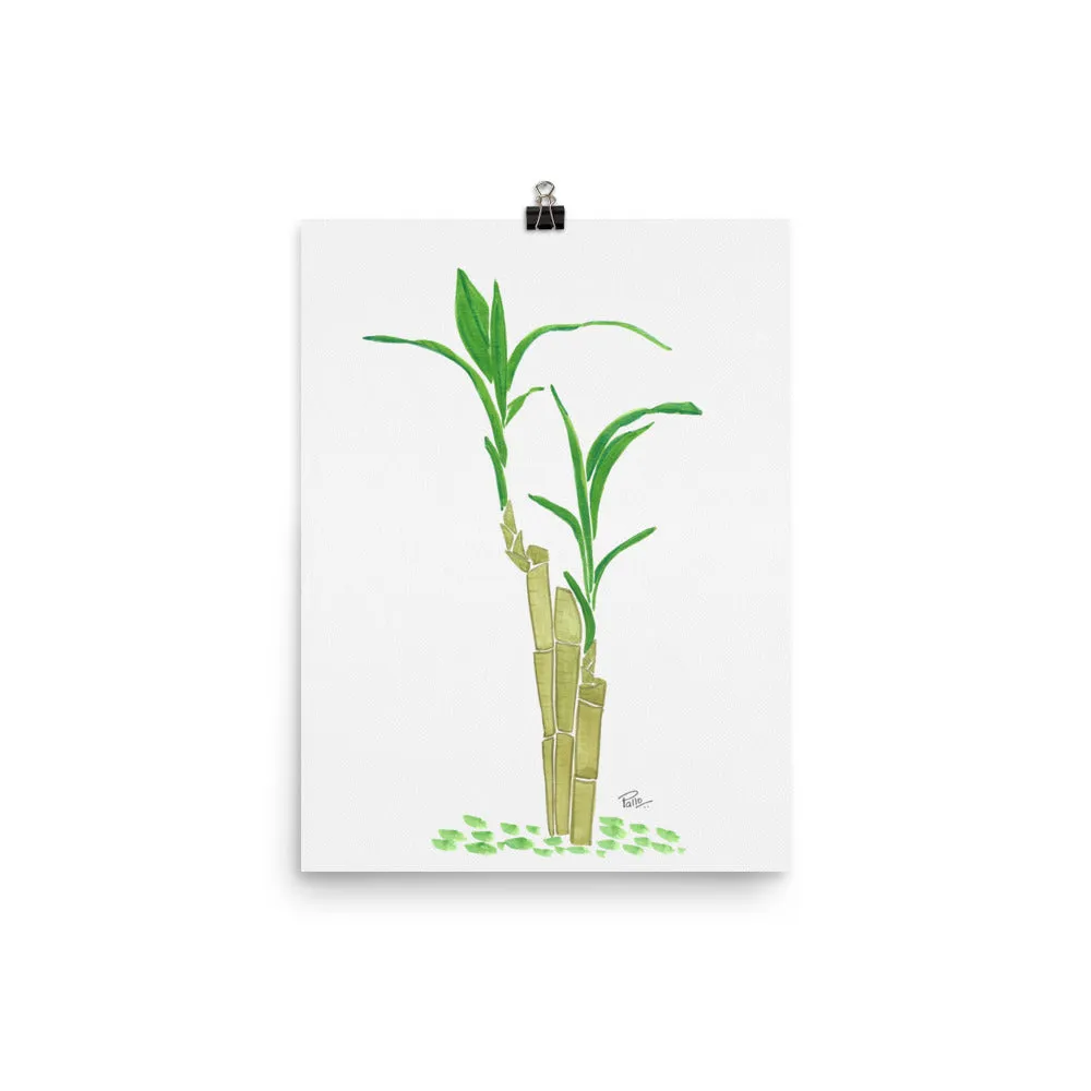 Zen Bamboo - Art Print