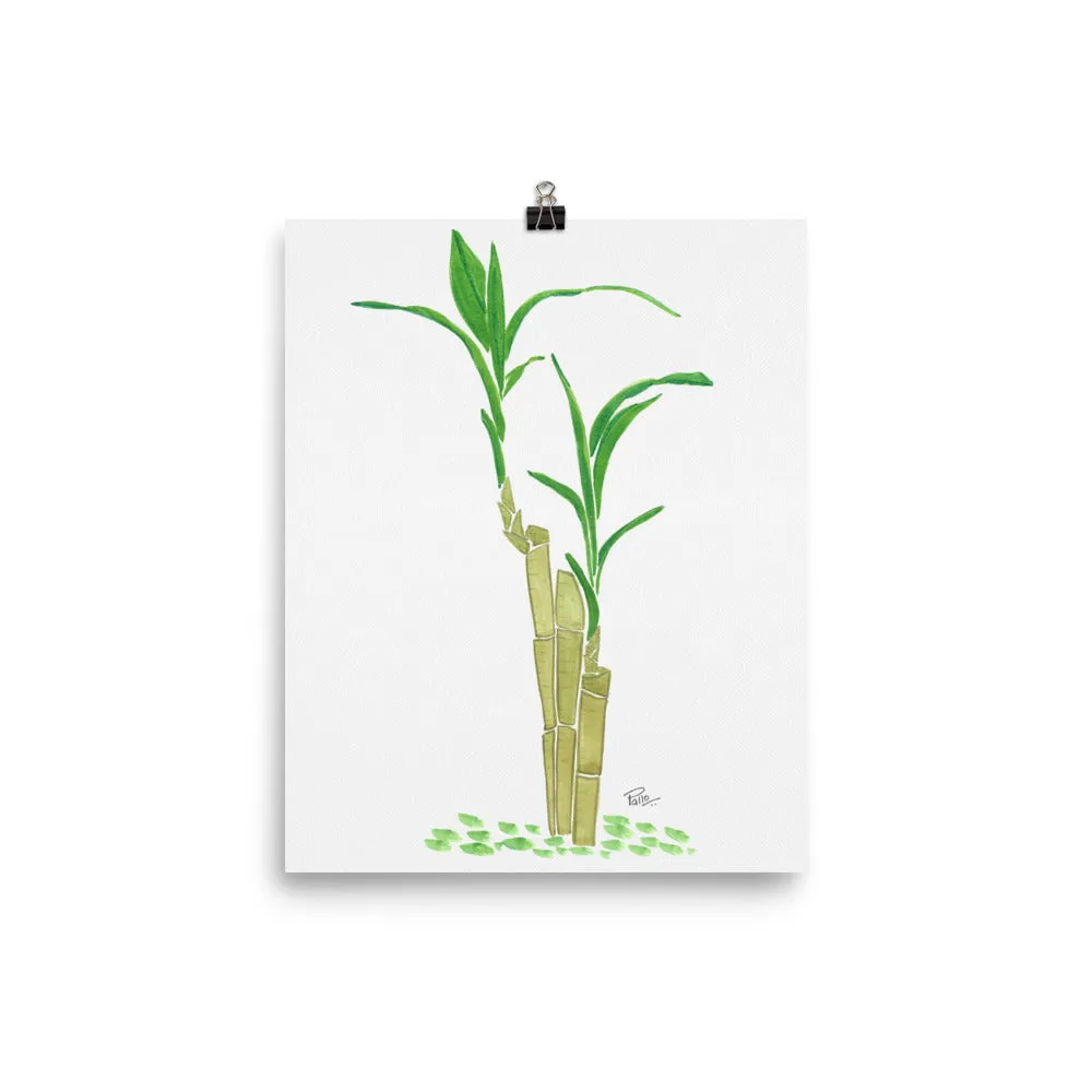 Zen Bamboo - Art Print