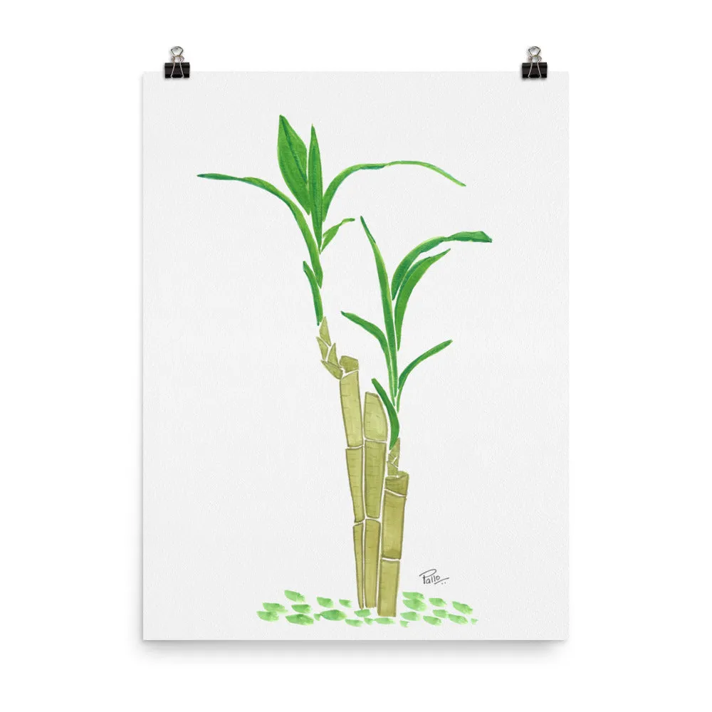 Zen Bamboo - Art Print