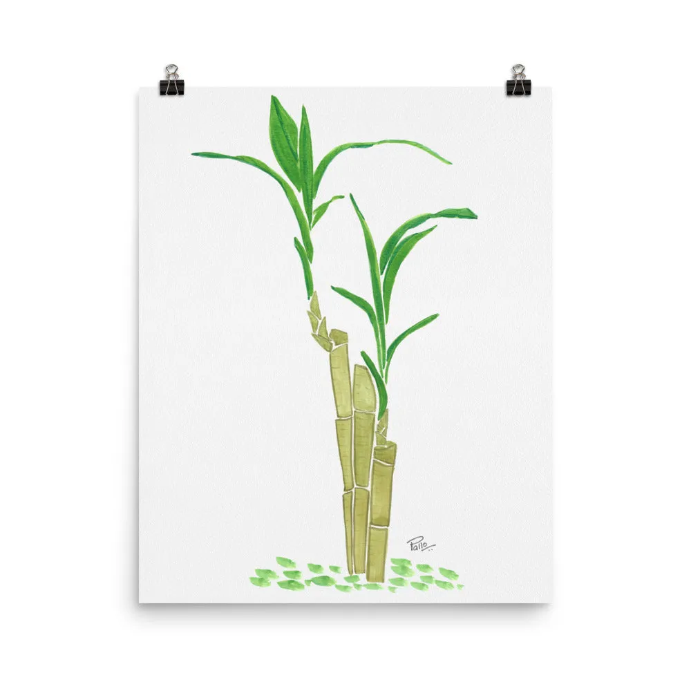Zen Bamboo - Art Print